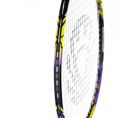 Ракетка бадм. TORRES Carbon PRO6, BD20521,для продв., стерж/обод из карбона,со струнами, фиол за 4&nbsp;477.80 ₽ купить в Химках