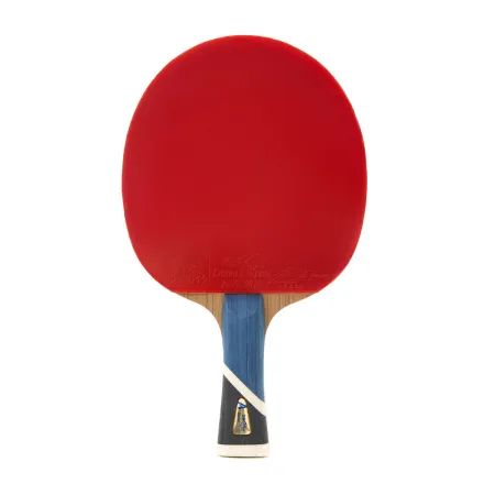 Ракетка для н/т DOUBLE FISH 5A+C, для продвин, ITTF Appr, накл. 2,1 мм, конич. ручка+ 2 мяча V40+мм за 2&nbsp;779.50 ₽ купить в Химках