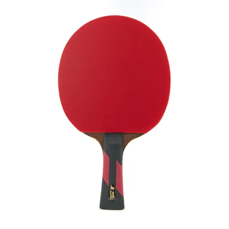Ракетка для н/т DOUBLE FISH 7A+C, для професс.,ITTF Appr.,накл.2,1мм,+ 2 мяча V40+мм ITTF Appr за 3&nbsp;559.80 ₽ купить в Химках
