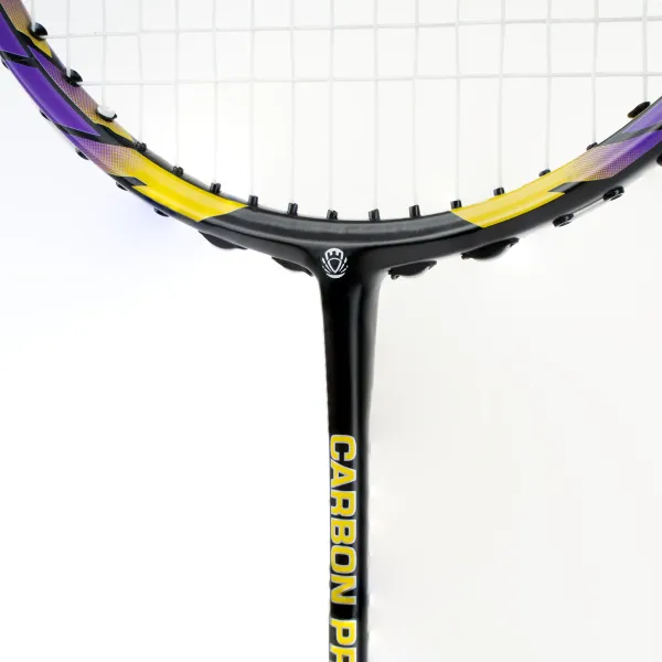 Ракетка бадм. TORRES Carbon PRO6, BD20521,для продв., стерж/обод из карбона,со струнами, фиол за 4&nbsp;477.80 ₽ в Химках