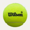 Мяч для падела Wilson Premier Padel Speed, WR8908501001, уп.3 шт, FIP Appr.,сукно, нат.резина,желтый за 1&nbsp;235.90 ₽ купить в Химках