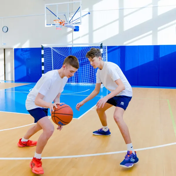 Щит баскетбольный игровой (монолитный поликарбонат) 1050х1800 мм ZAVODSPORTA за 47&nbsp;600 ₽ в Химках